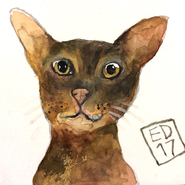 aquarel kat uit 2017