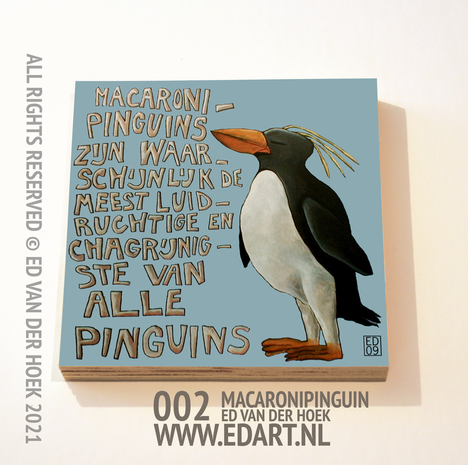 002 Macaroni Pinguïn plankje`