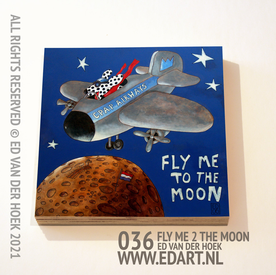 036 Fly me to the moon print op hout`