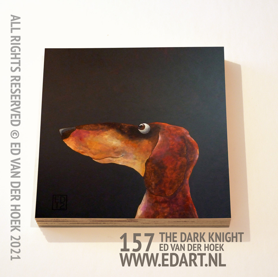 157 Joep the dark night print op hout`
