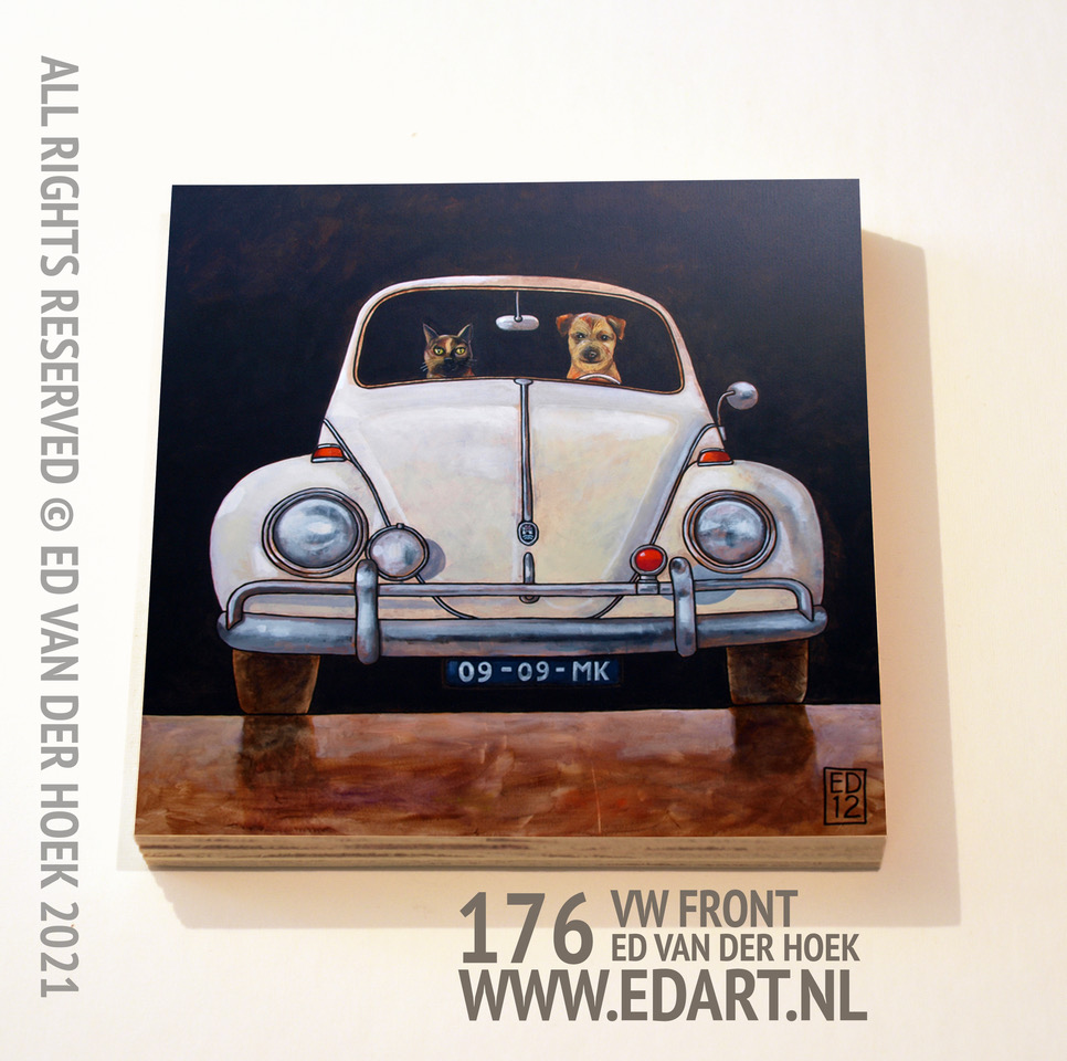 176 VW Beetle front`