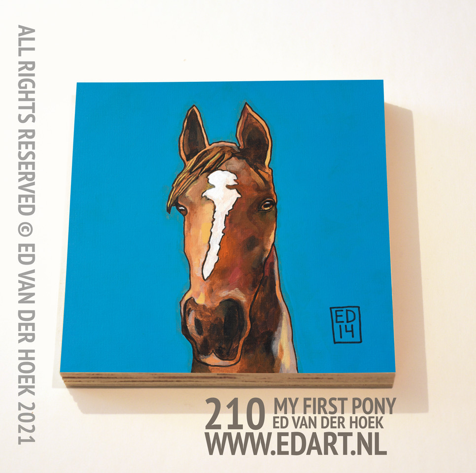 210 My first pony print op hout`