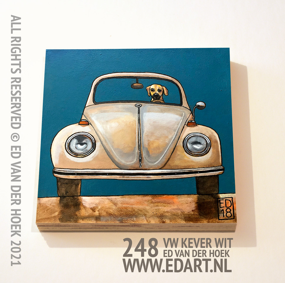248 VW Beetle 1971`