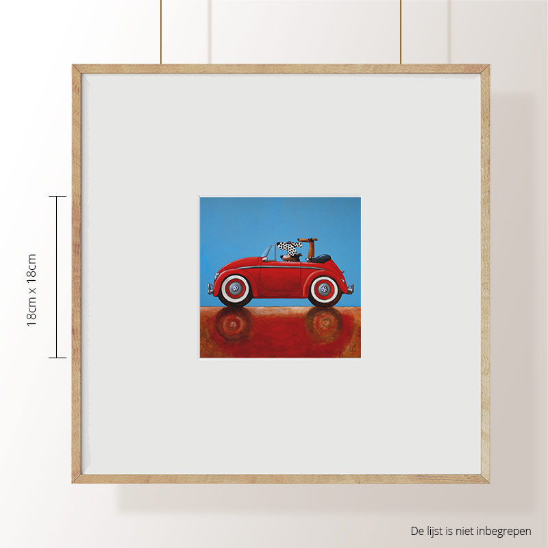 VW cabrio rood`