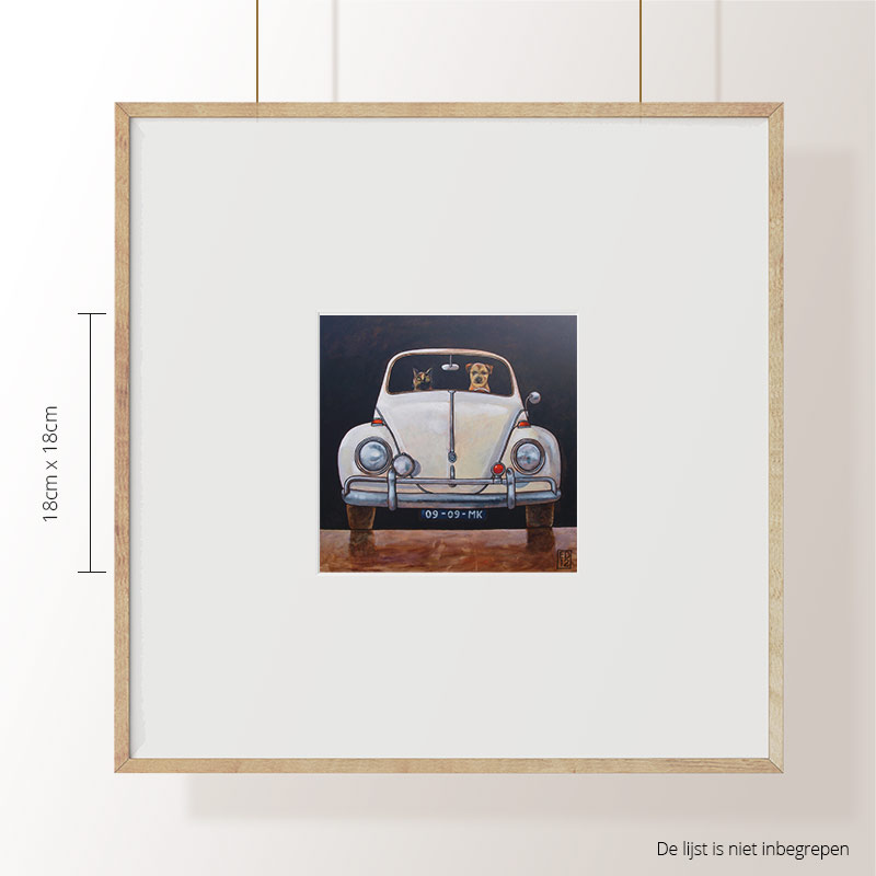 VW Beetle front`