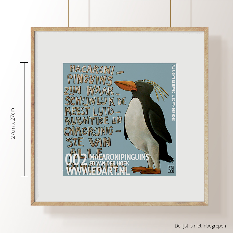 002 Macaroni Pinguïn`