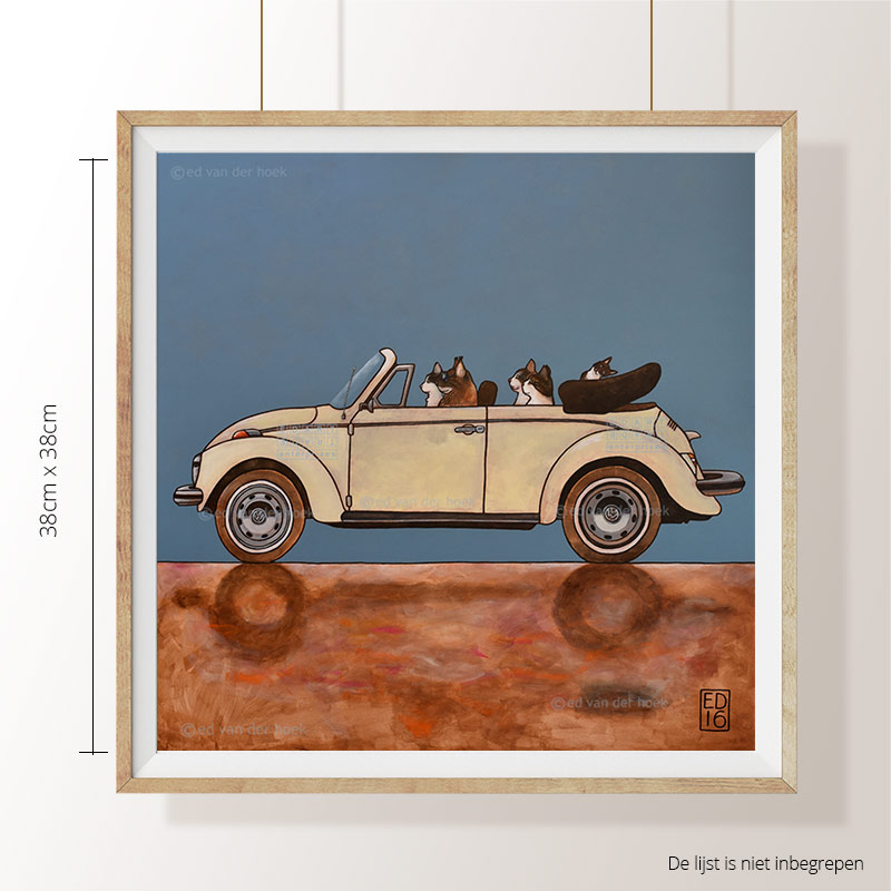 VW Cabrio Cats`
