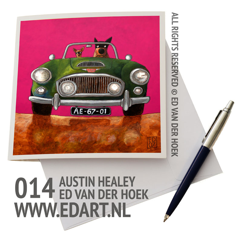 014 Austin Healey`