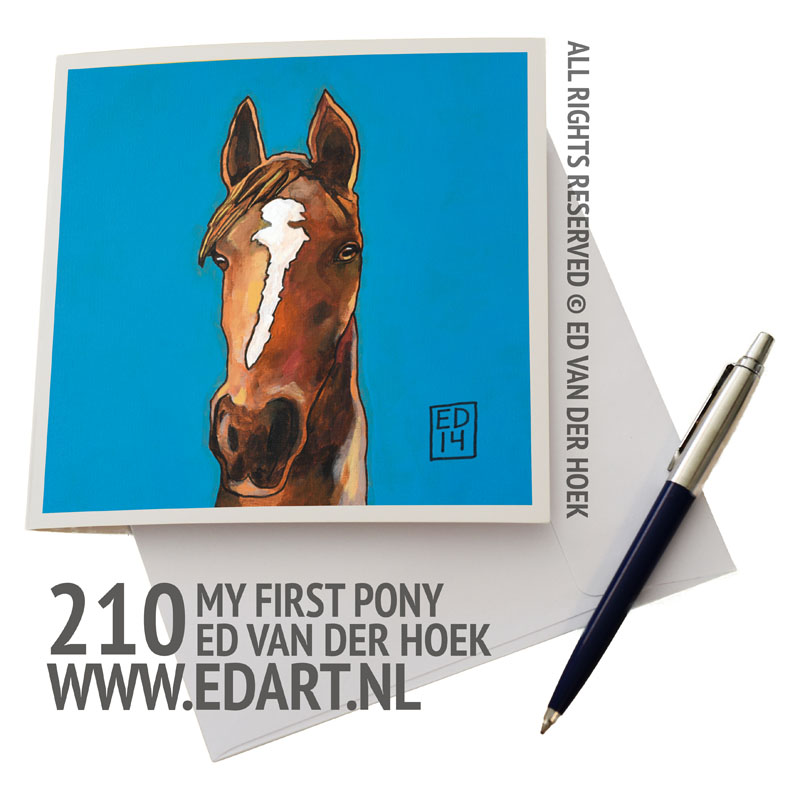 210 My first pony ansichtpaard`