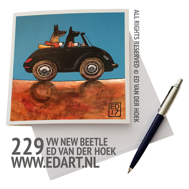 229 New Beetle `