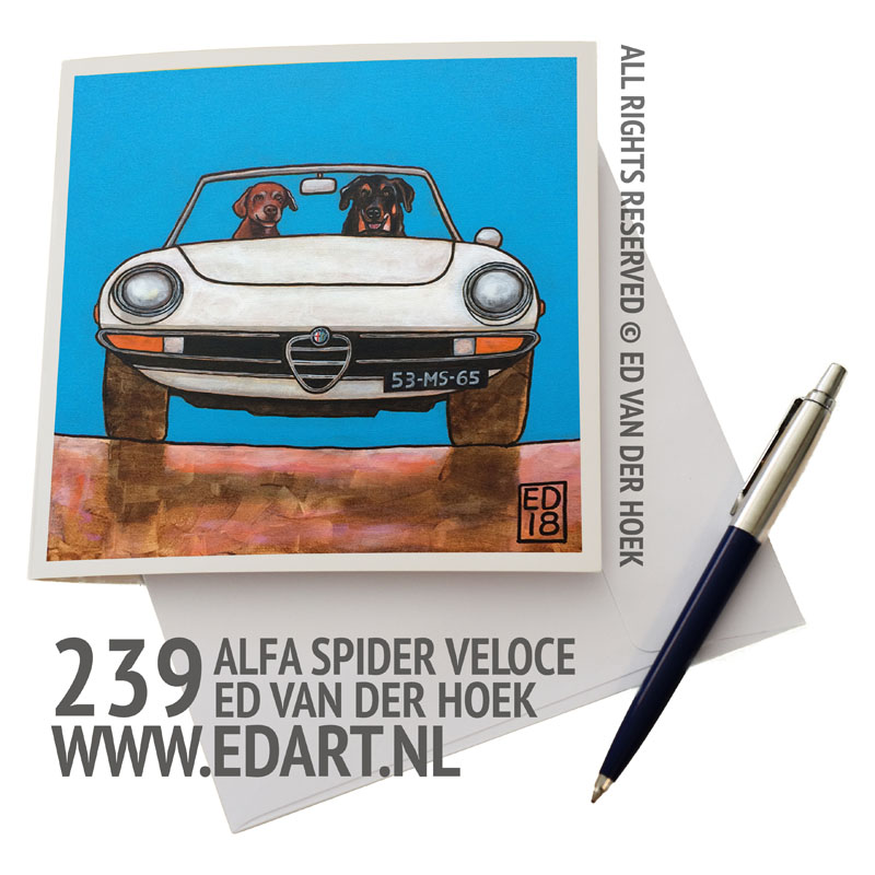 239 Alfa Spider wit kaart`