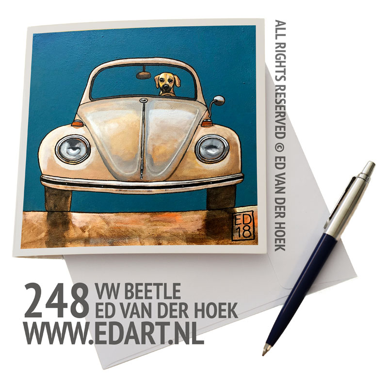 VW Beetle 1971`