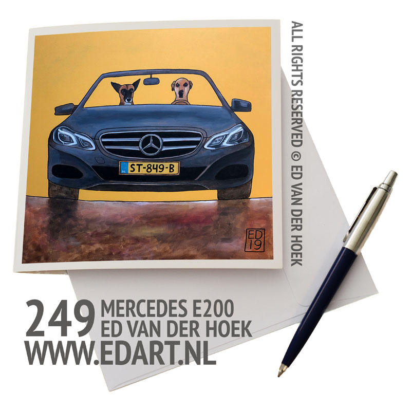 249 Mercedes E200 kaart`