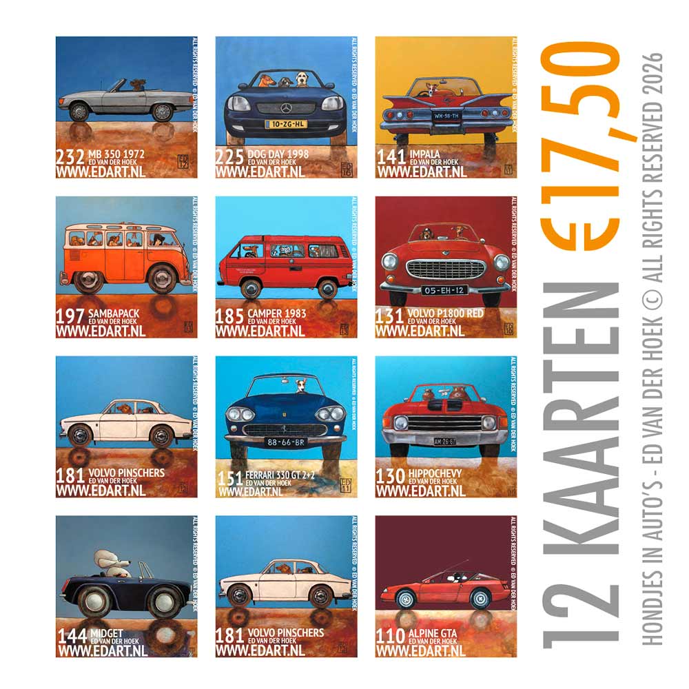 SET VAN 12 KAARTEN HONDJES IN AUTO'S`